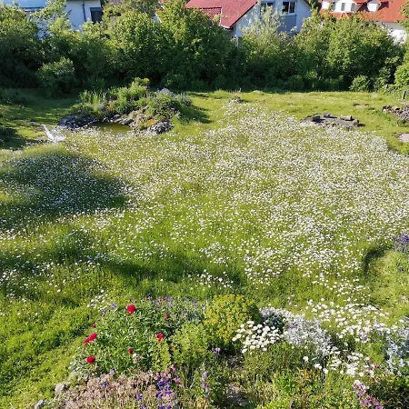 Moderne Gartenblick