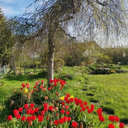 Moderne Gartenblick דירה