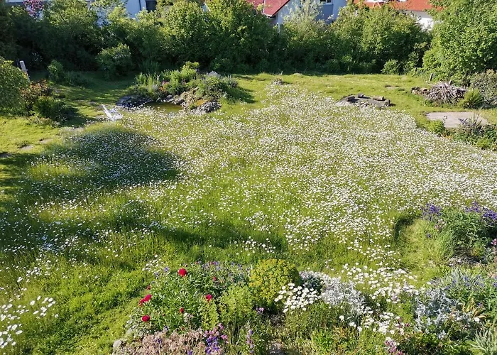 Moderne Gartenblick
