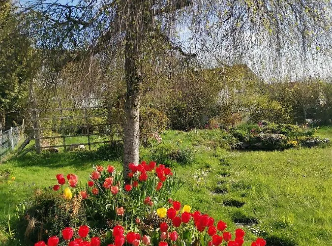 Moderne Gartenblick Διαμέρισμα